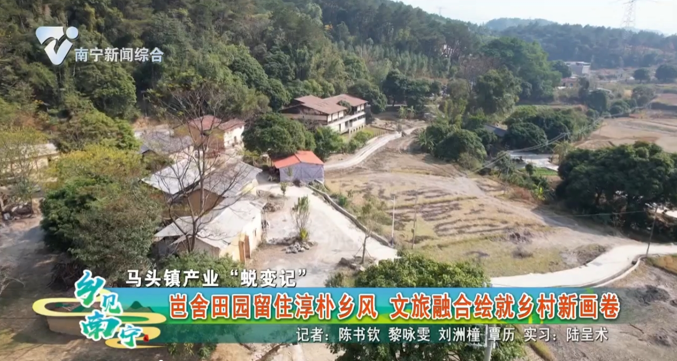 【马头镇产业“蜕变记”】岜舍田园留住淳朴乡风 文旅融合绘就乡村新画卷