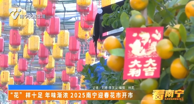 “花”样十足 年味渐浓 2025南宁迎春花市开市