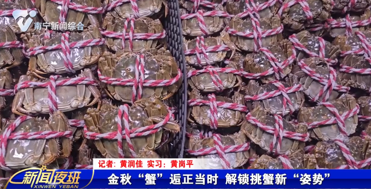 金秋“蟹”逅正当时 解锁挑蟹新“姿势”