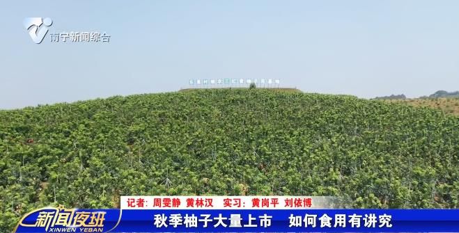 秋季柚子大量上市  如何食用有讲究