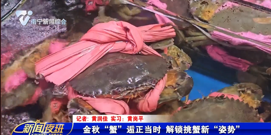 金秋“蟹”逅正当时   解锁挑蟹新“姿势” 
