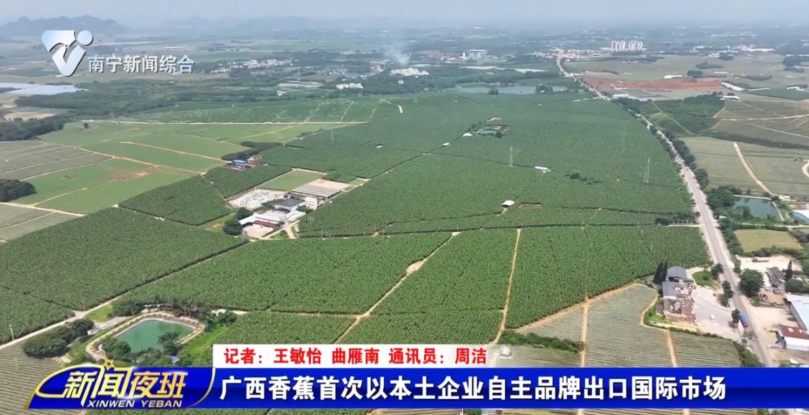 广西香蕉首次以本土企业自主品牌出口国际市场