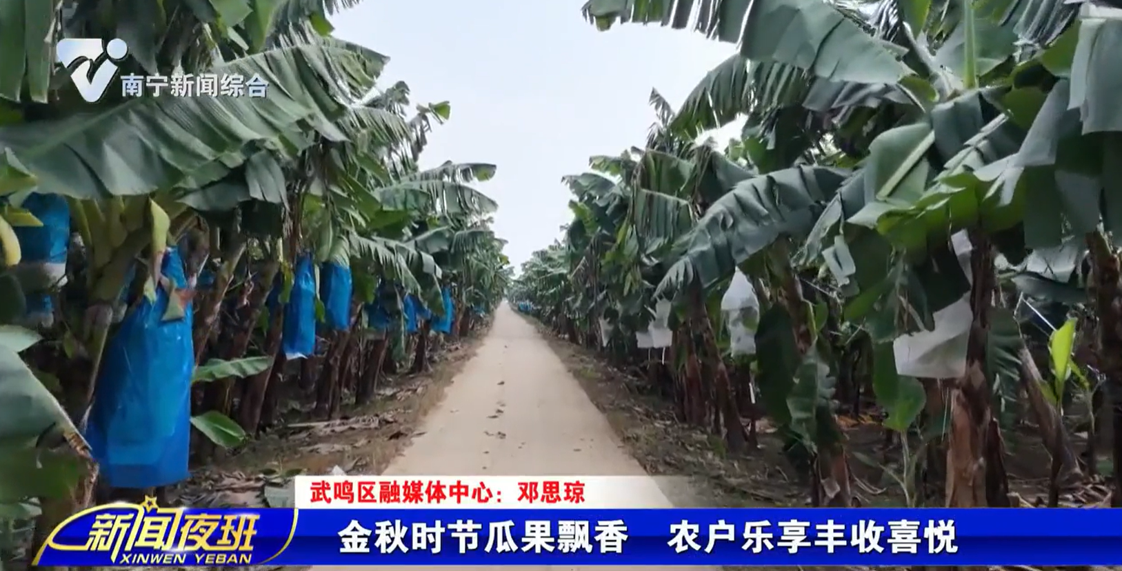 金秋时节瓜果飘香 农户乐享丰收喜悦