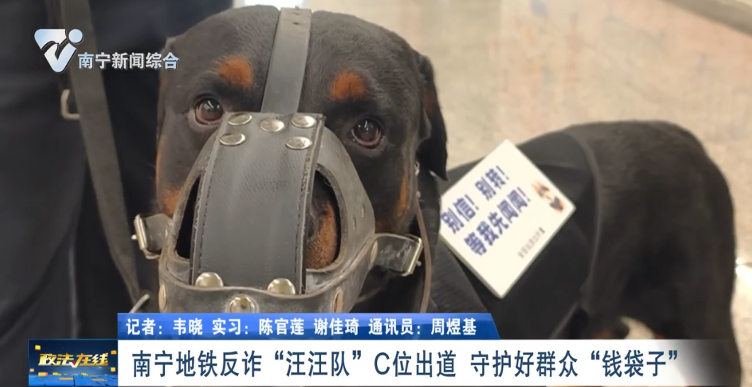南寧地鐵反詐“汪汪隊”C位出道 守護好群眾“錢袋子”