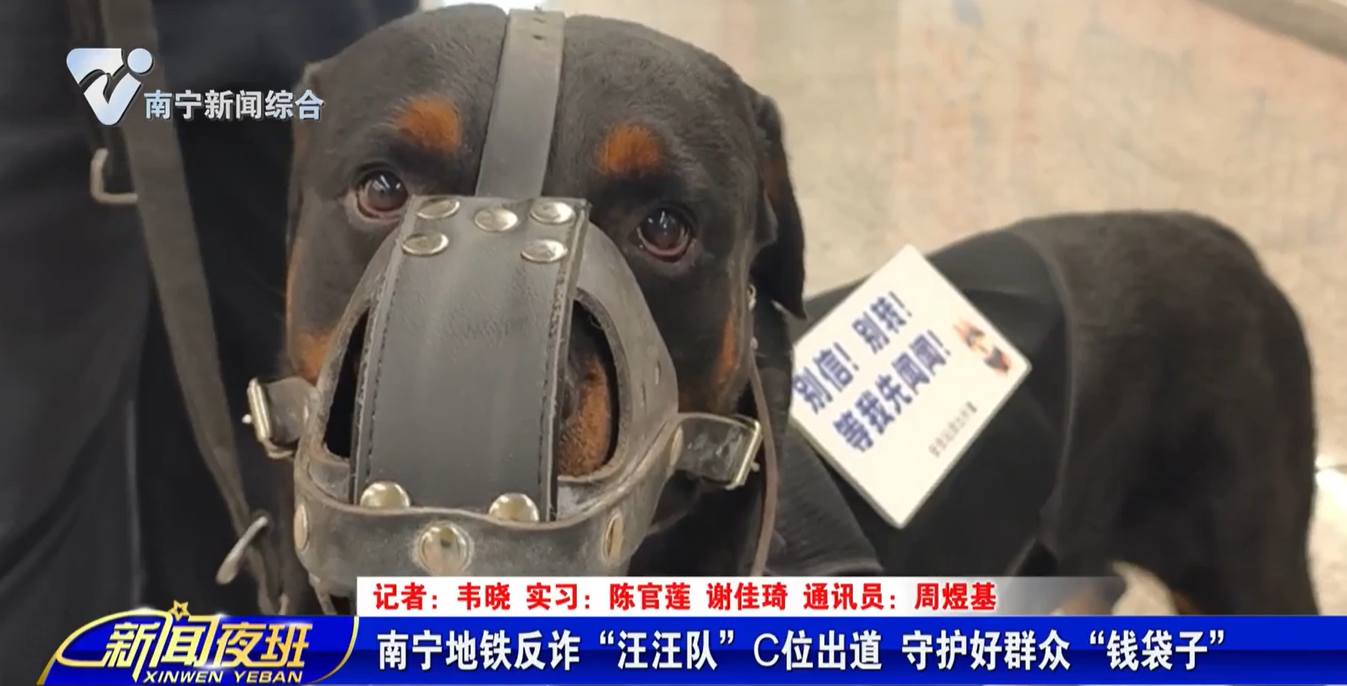南宁地铁反诈“汪汪队”C位出道 守护好群众“钱袋子” 