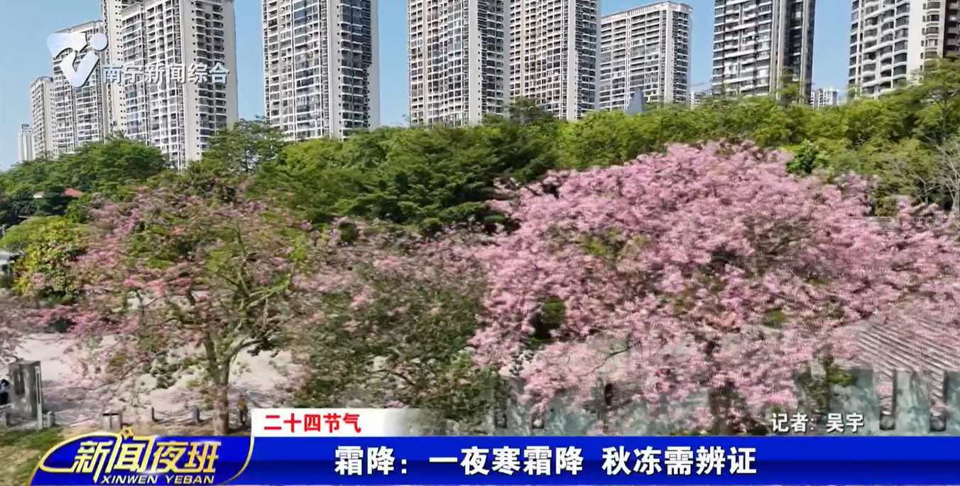 【二十四节气】霜降：一夜寒霜降 秋冻需辨证