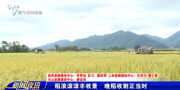 稻浪滚滚丰收景 晚稻收割正当时