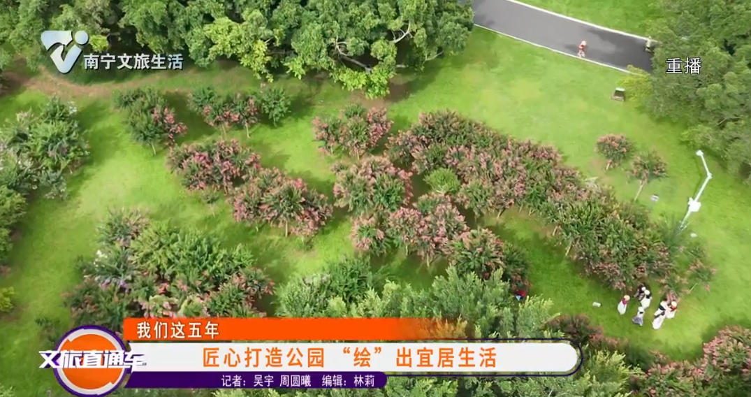 【我们这五年】匠心打造公园 “绘”出宜居生活