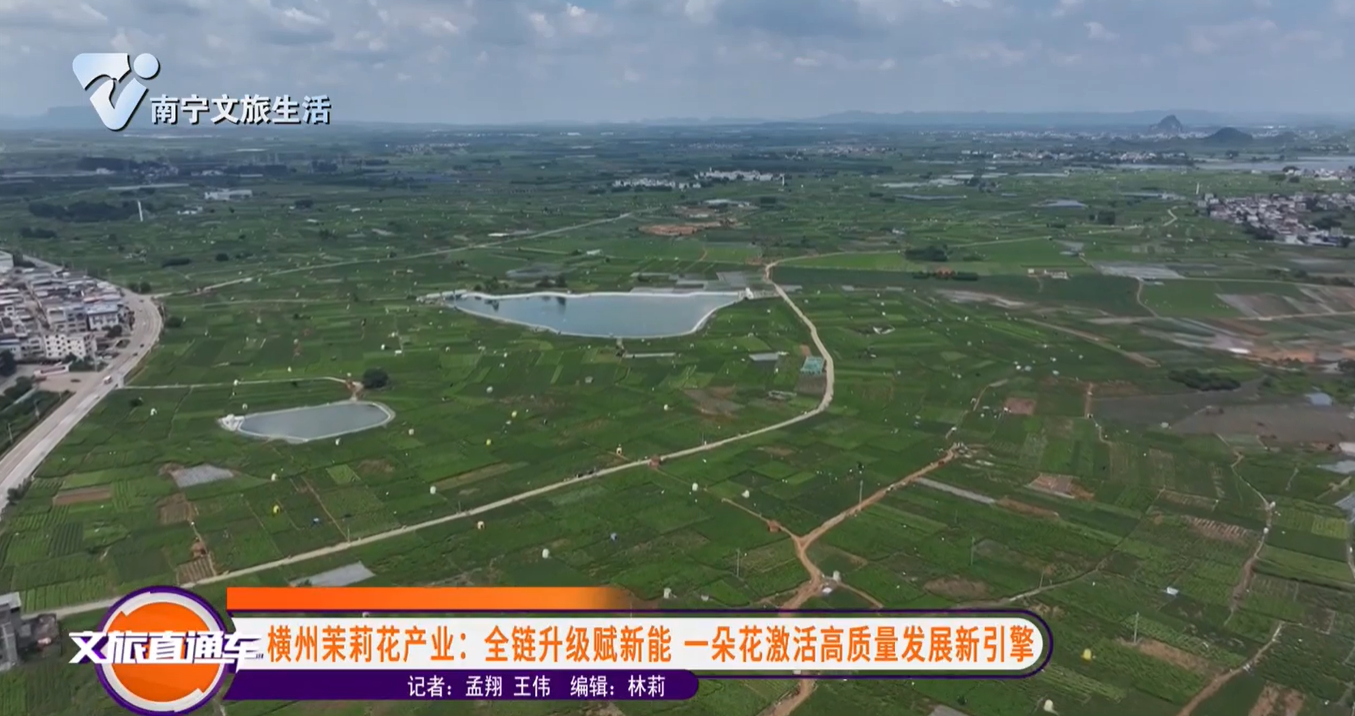 横州茉莉花产业：全链升级赋新能 一朵花激活高质量发展新引擎