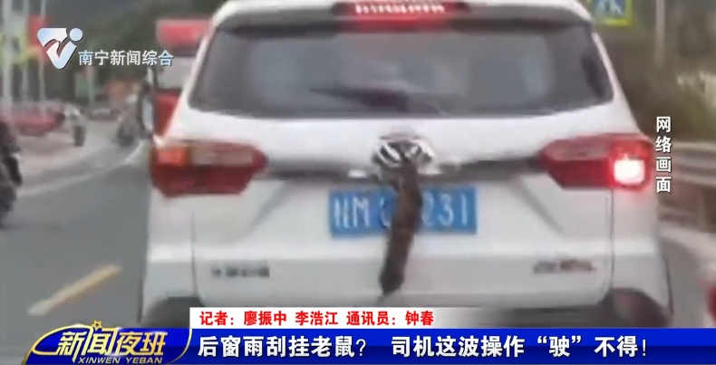 后窗雨刮挂老鼠？ 司机这波操作“驶”不得！ 