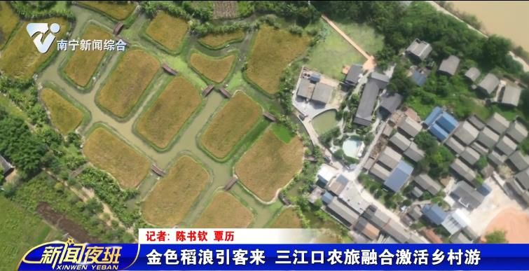 金色稻浪引客来   三江口农旅融合激活乡村游