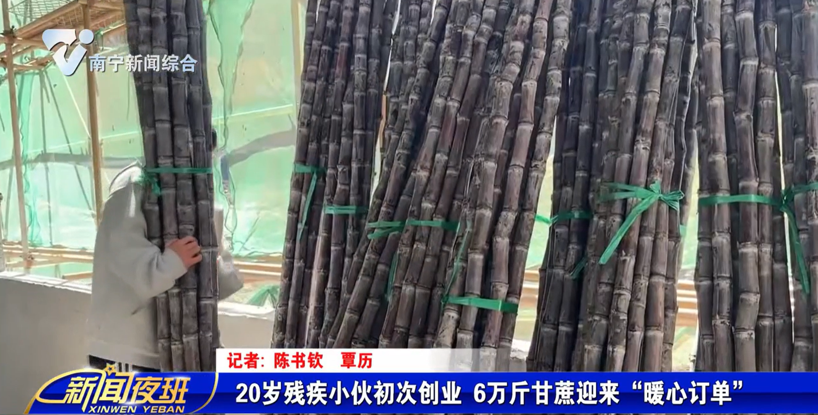 20歲殘疾小伙初次創(chuàng)業(yè) 6萬斤甘蔗迎來“暖心訂單”