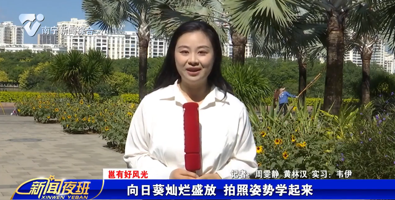 【邕有好風光】向日葵燦爛盛放 拍照姿勢學起來