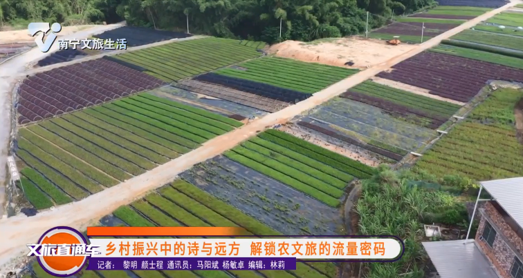 乡村振兴中的诗与远方 解锁农文旅的流量密码