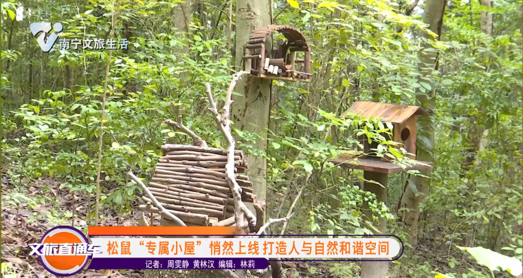 松鼠“专属小屋”悄然上线 打造人与自然和谐空间