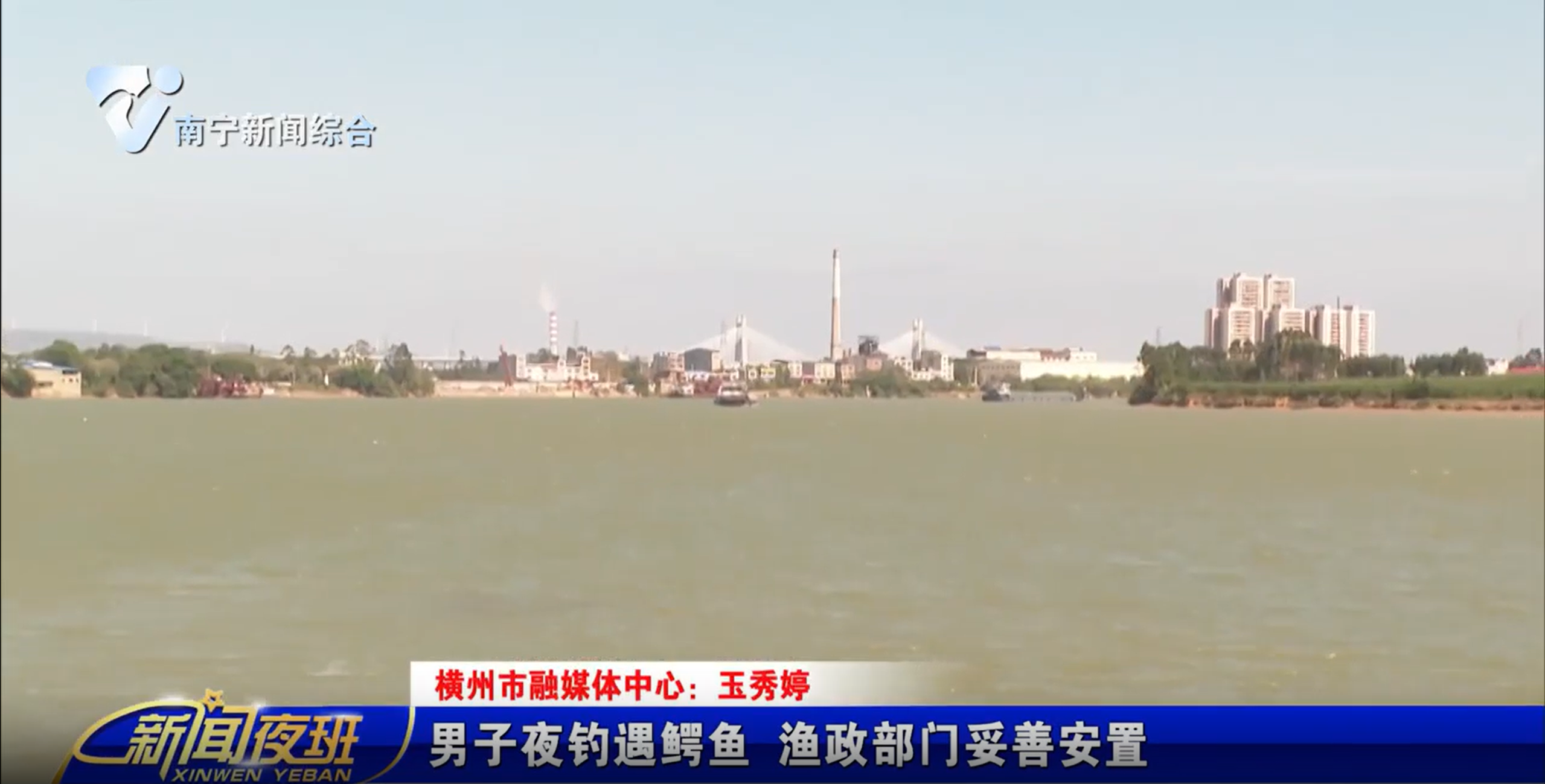 男子夜釣遇鱷魚 漁政部門妥善安置