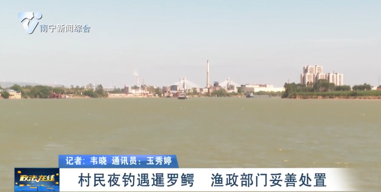 村民夜釣遇暹羅鱷 漁政部門妥善處置