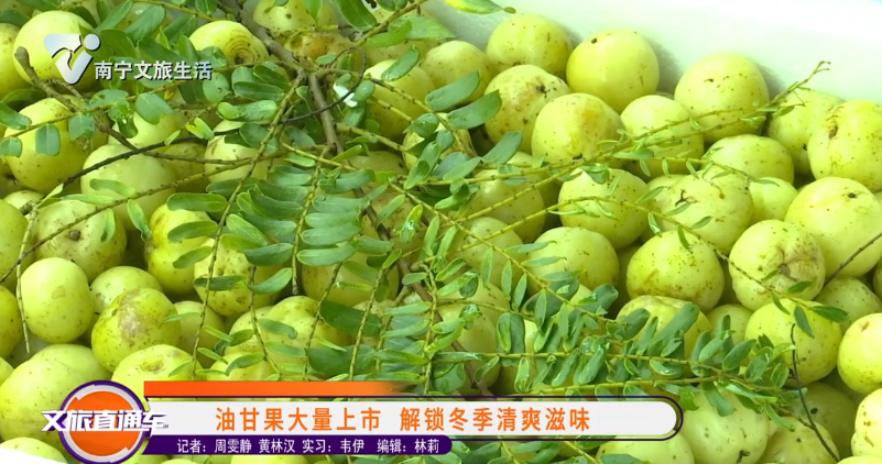 油甘果大量上市 解锁冬季清爽滋味