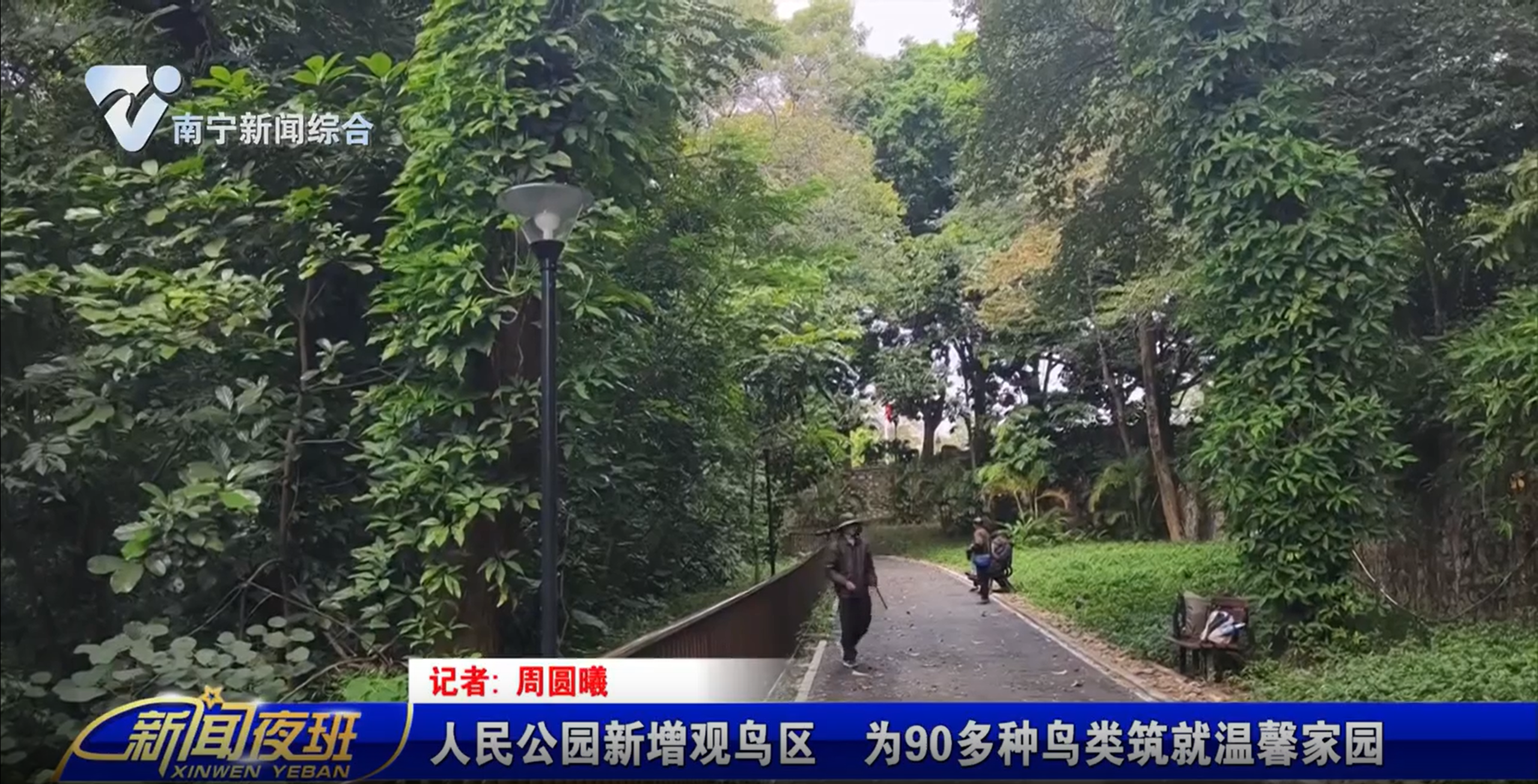 人民公园新增观鸟区  为90多种鸟类筑就温馨家园