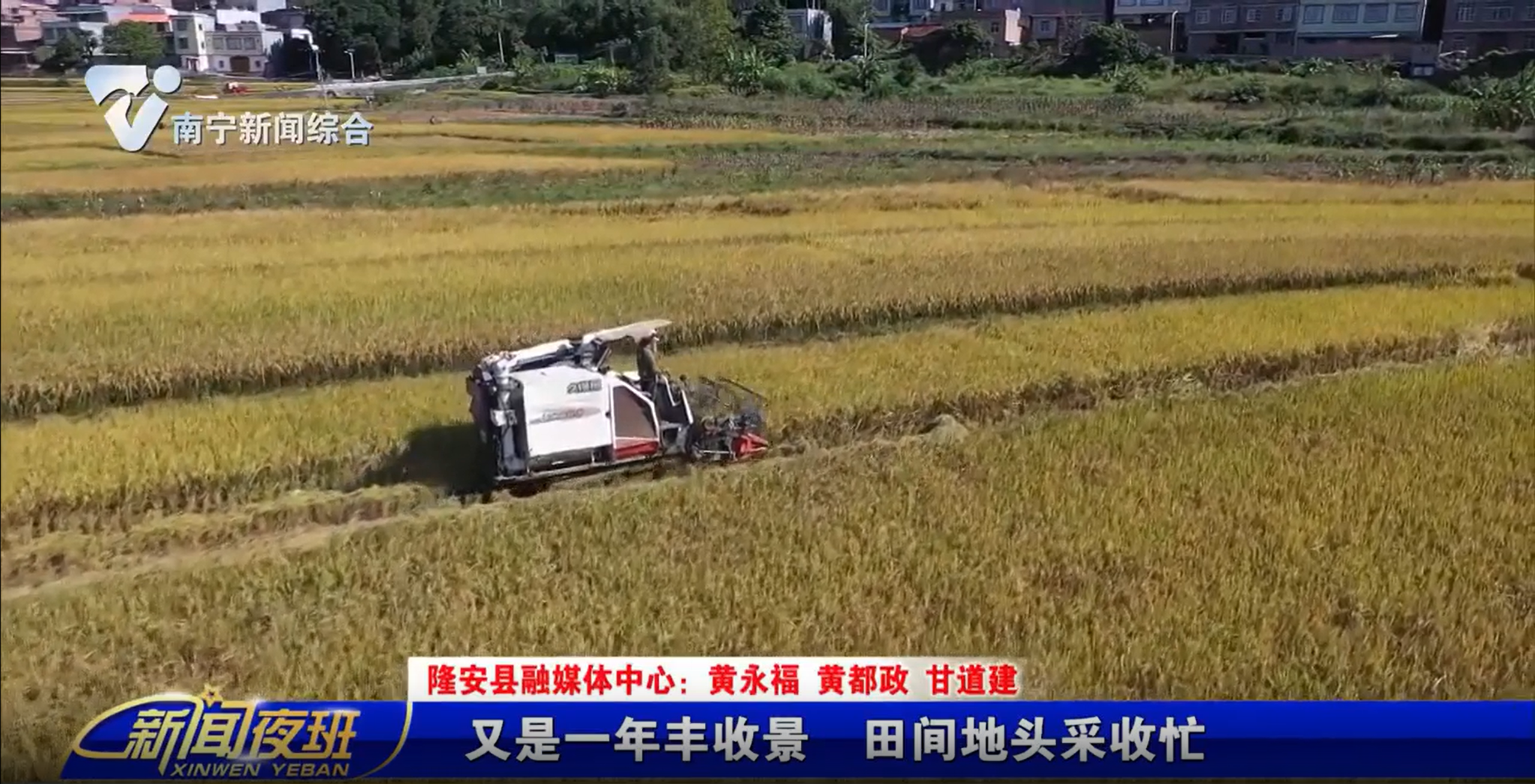 又是一年丰收景 田间地头采收忙