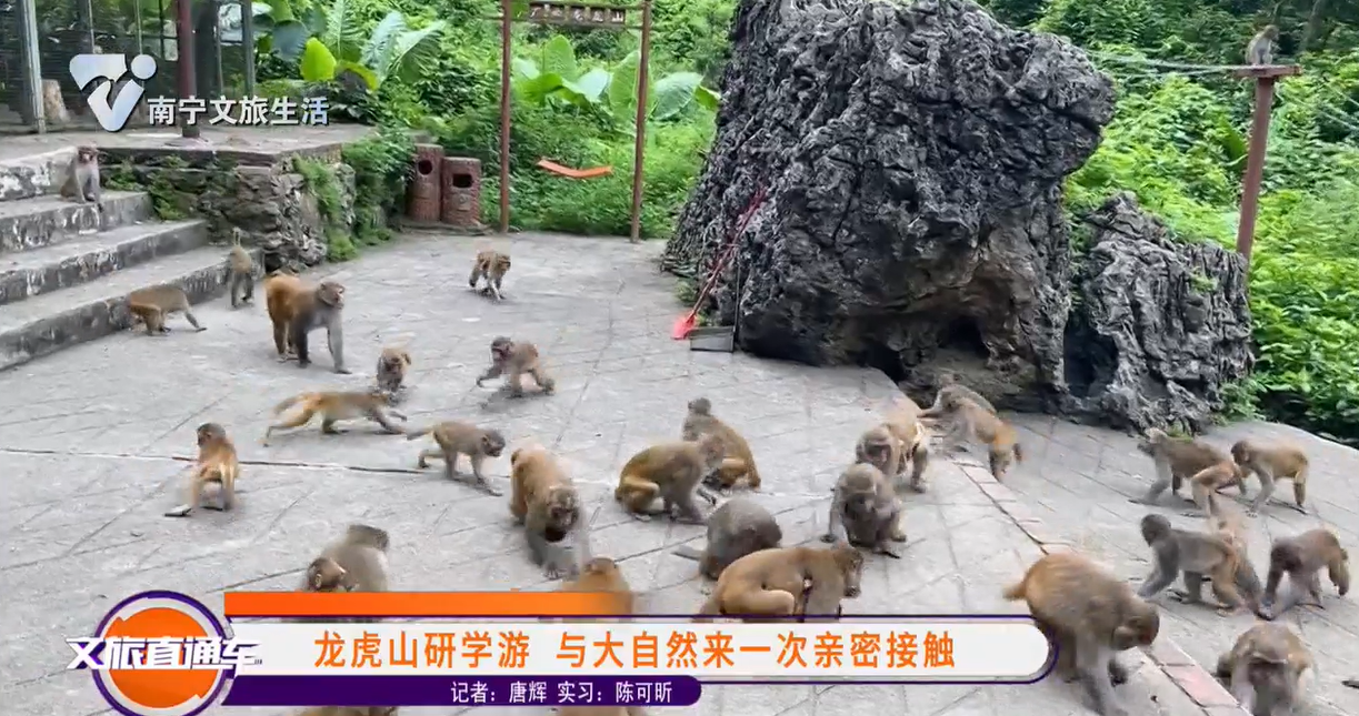 龙虎山研学游 与大自然来一次亲密接触