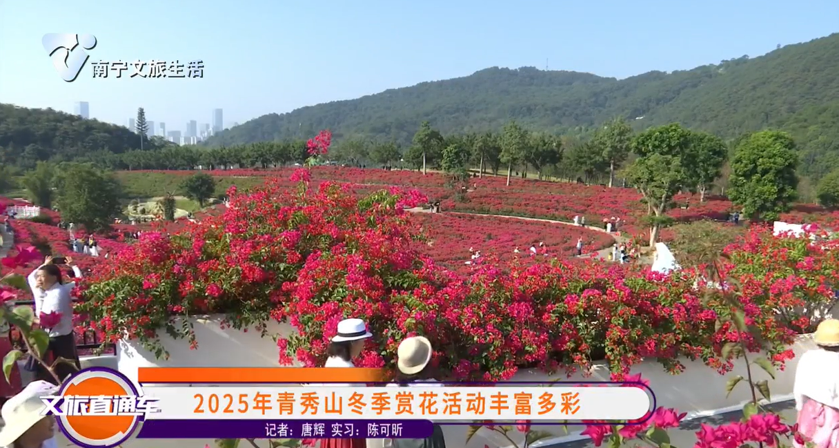 2025年青秀山冬季赏花活动丰富多彩