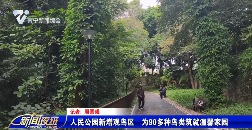 人民公园新增观鸟区 为90多种鸟类筑就温馨家园
