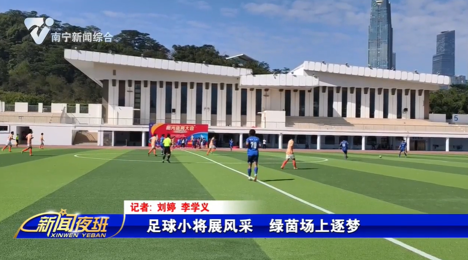 足球小将展风采 绿茵场上逐梦 