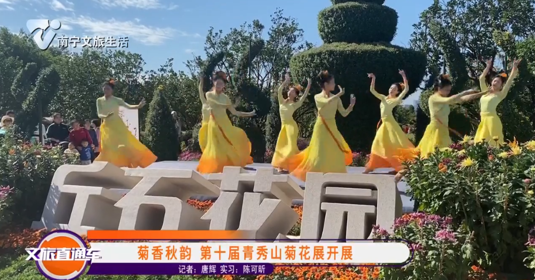菊香秋韵 第十届青秀山菊花展开展