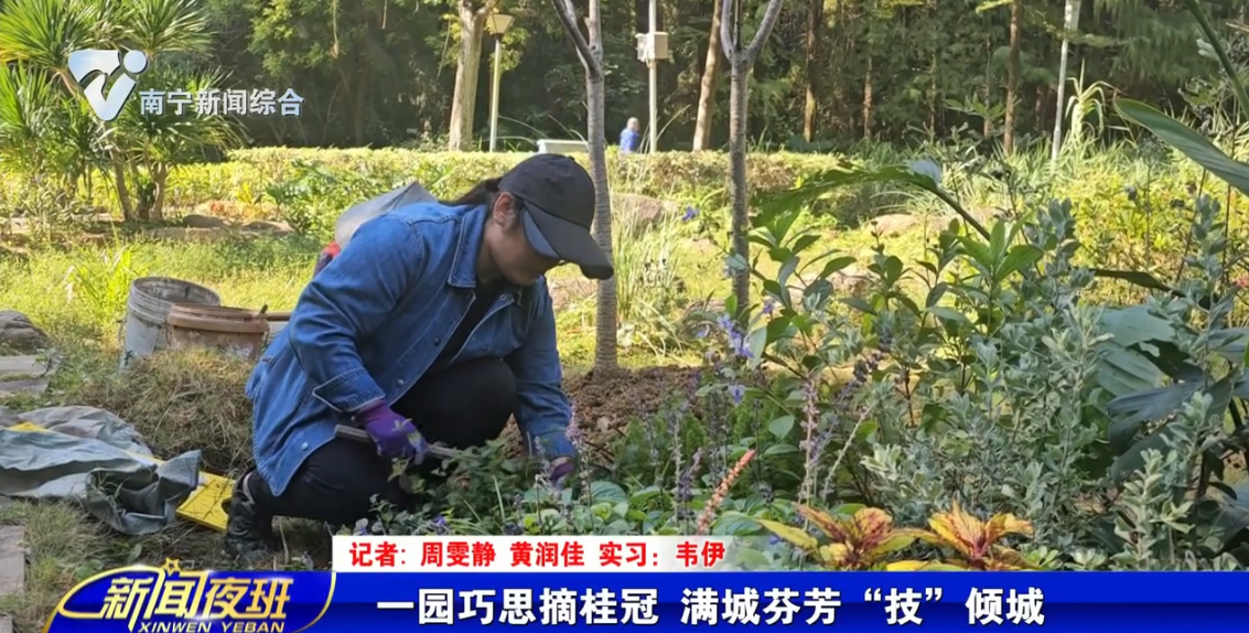 一园巧思摘桂冠 满城芬芳“技”倾城 