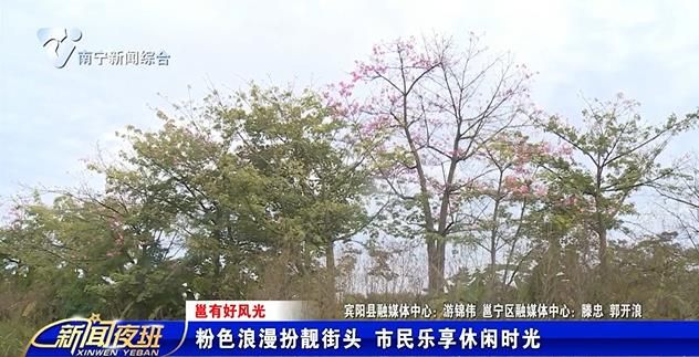 【邕有好风光】粉色浪漫扮靓街头 市民乐享休闲时光 