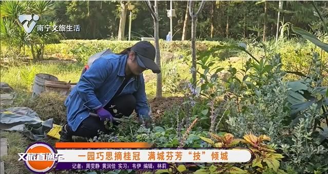一园巧思摘桂冠 满城芬芳“技”倾城