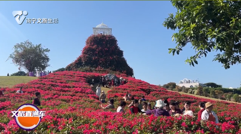 青秀山风景区游客量突破900万人次 创下历史新高