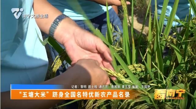 “五塘大米”跻身全国名特优新农产品名录