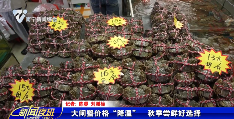 大闸蟹价格“降温”  秋季尝鲜好选择 