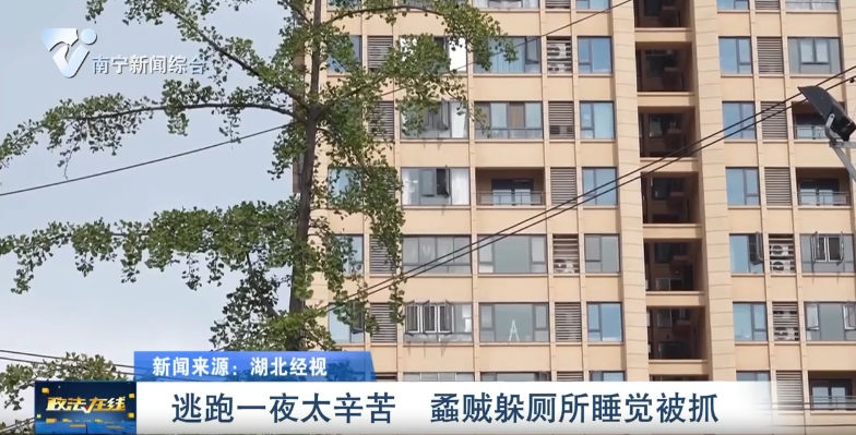 逃跑一夜太辛苦 蟊賊躲廁所睡覺被抓 