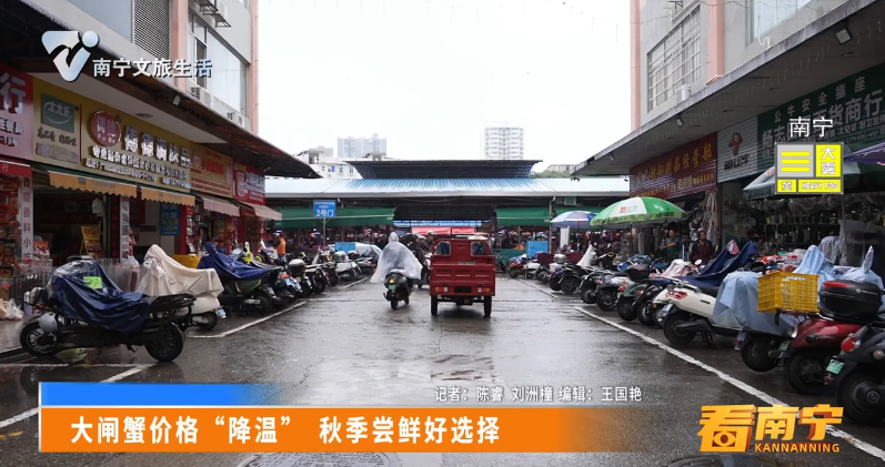 大闸蟹价格“降温” 秋季尝鲜好选择