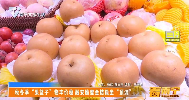 秋冬季“果篮子”物丰价稳 融安脆蜜金桔稳坐“顶流”