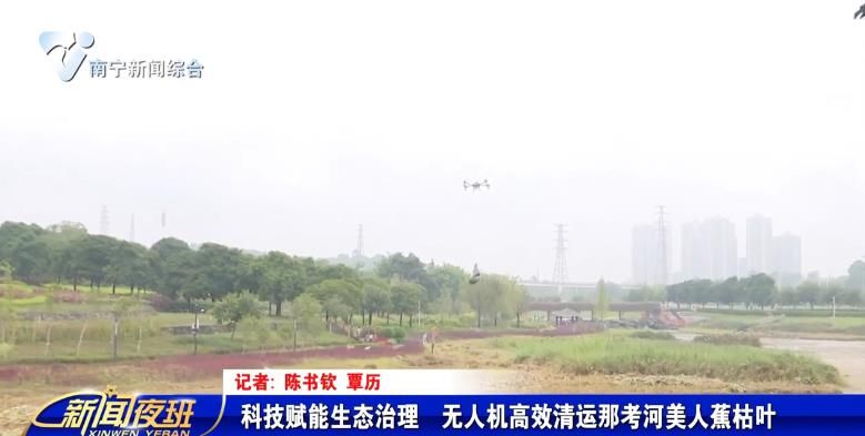 科技赋能生态治理 无人机高效清运那考河美人蕉枯叶