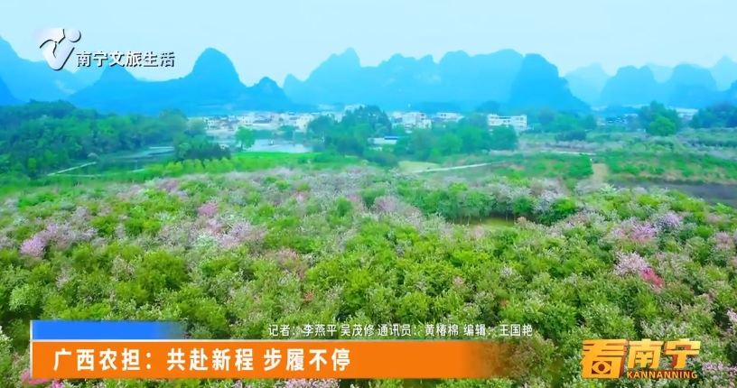 广西农担：共赴新程 步履不停