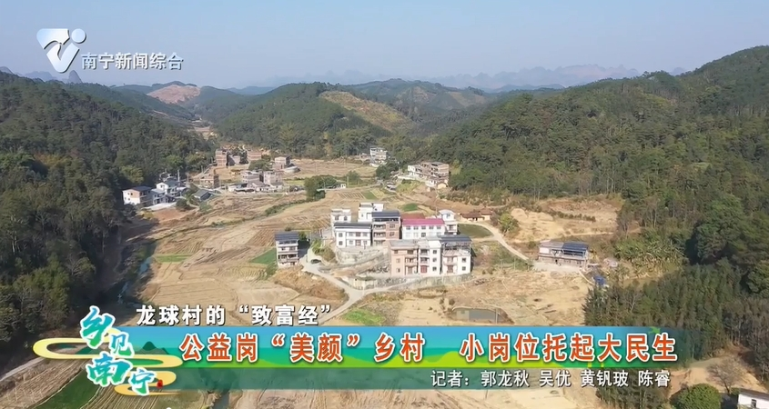 【龙球村的“致富经”】公益岗“美颜”乡村 小岗位托起大民生