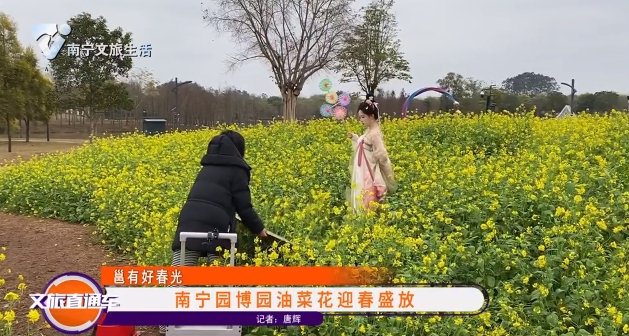 【邕有好春光】南宁园博园油菜花迎春盛放