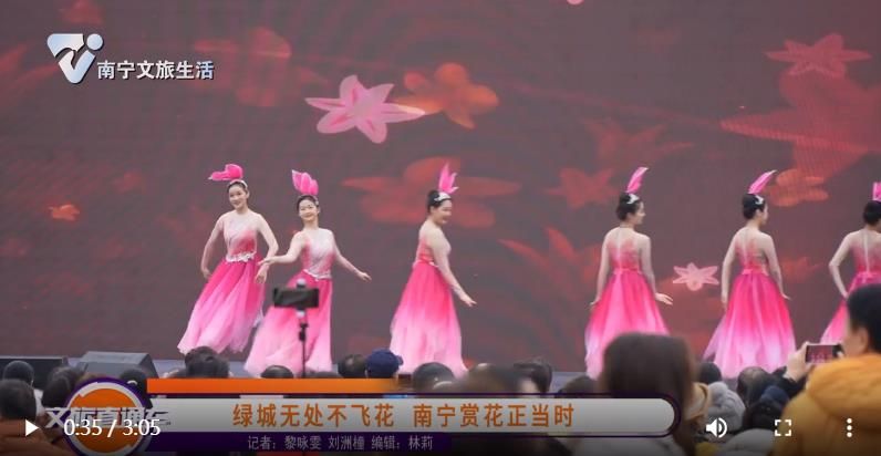 绿城无处不飞花 南宁赏花正当时