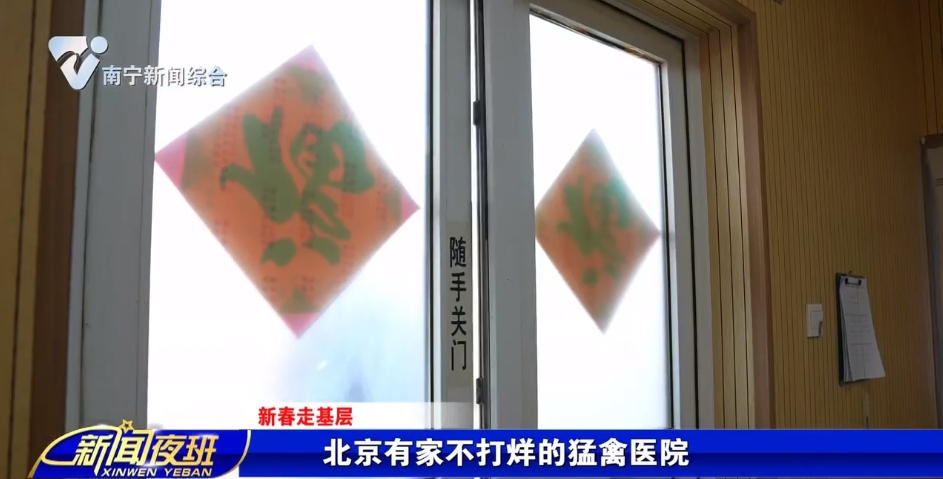 【新春走基层】北京有家不打烊的猛禽医院
