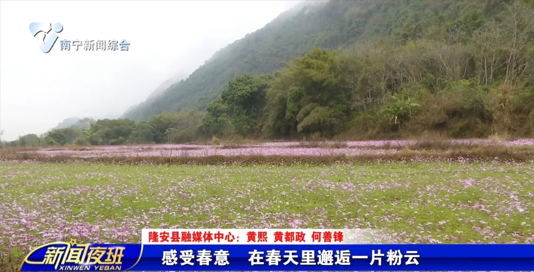 感受春意 在春天里邂逅一片粉云