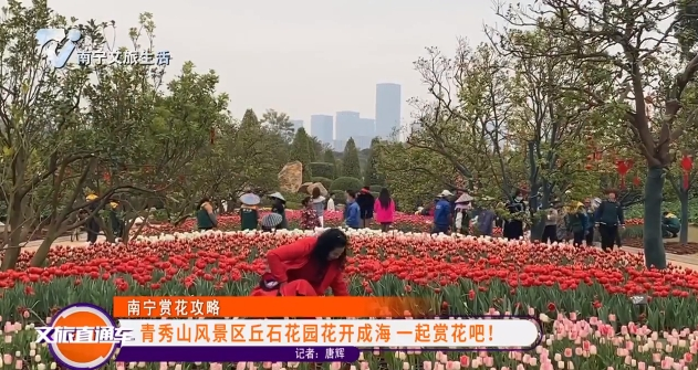 【南宁赏花攻略】青秀山风景区丘石花园花开成海 一起赏花吧！