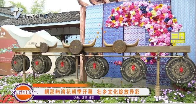 峒那屿湾花朝季开幕 壮乡文化绽放异彩
