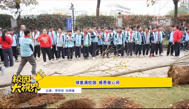 绿意满校园 感恩留心间