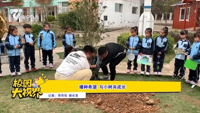 播种希望 与小树共成长