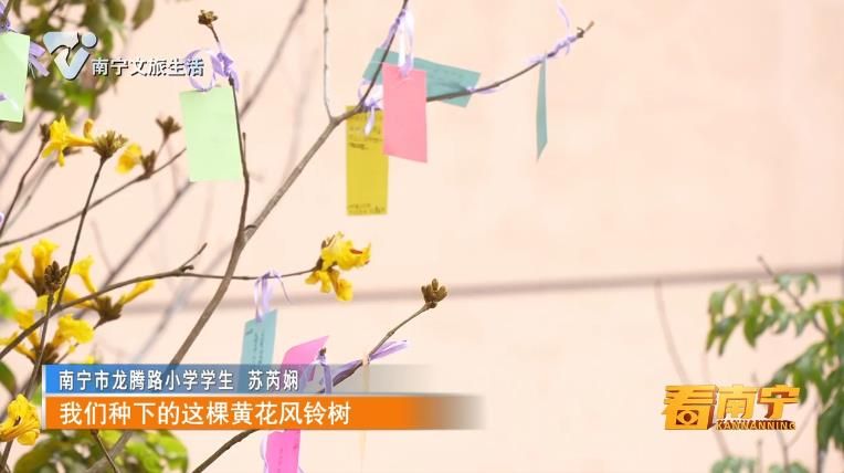 春光正好 植树添绿正当时